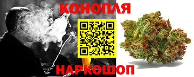 тгк Славгород