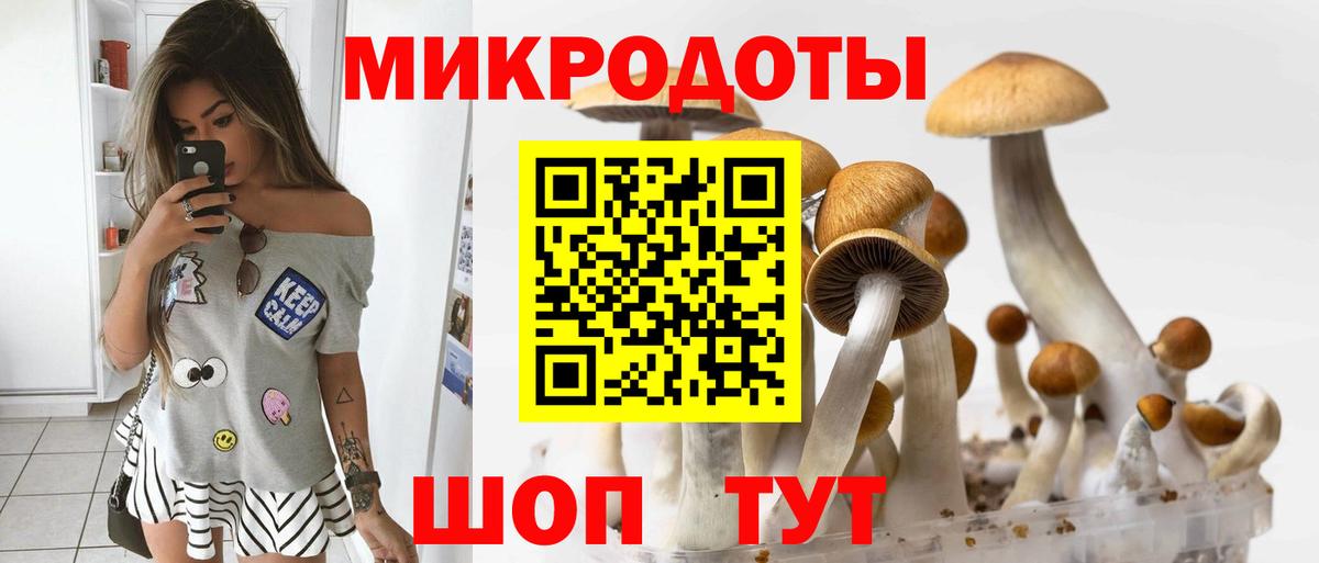 Псилоцибиновые грибы MAGIC MUSHROOMS  магазин продажи наркотиков  Новоуральск  Вход с VPN 